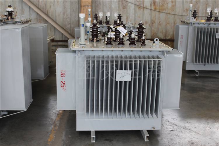 抚顺S20-800kVA/10kV/0.4kV变压器